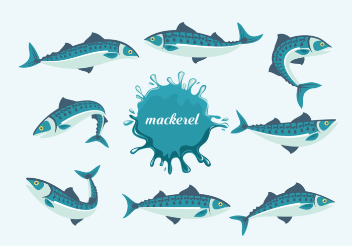 Makrill Fishes Vektor Illustration