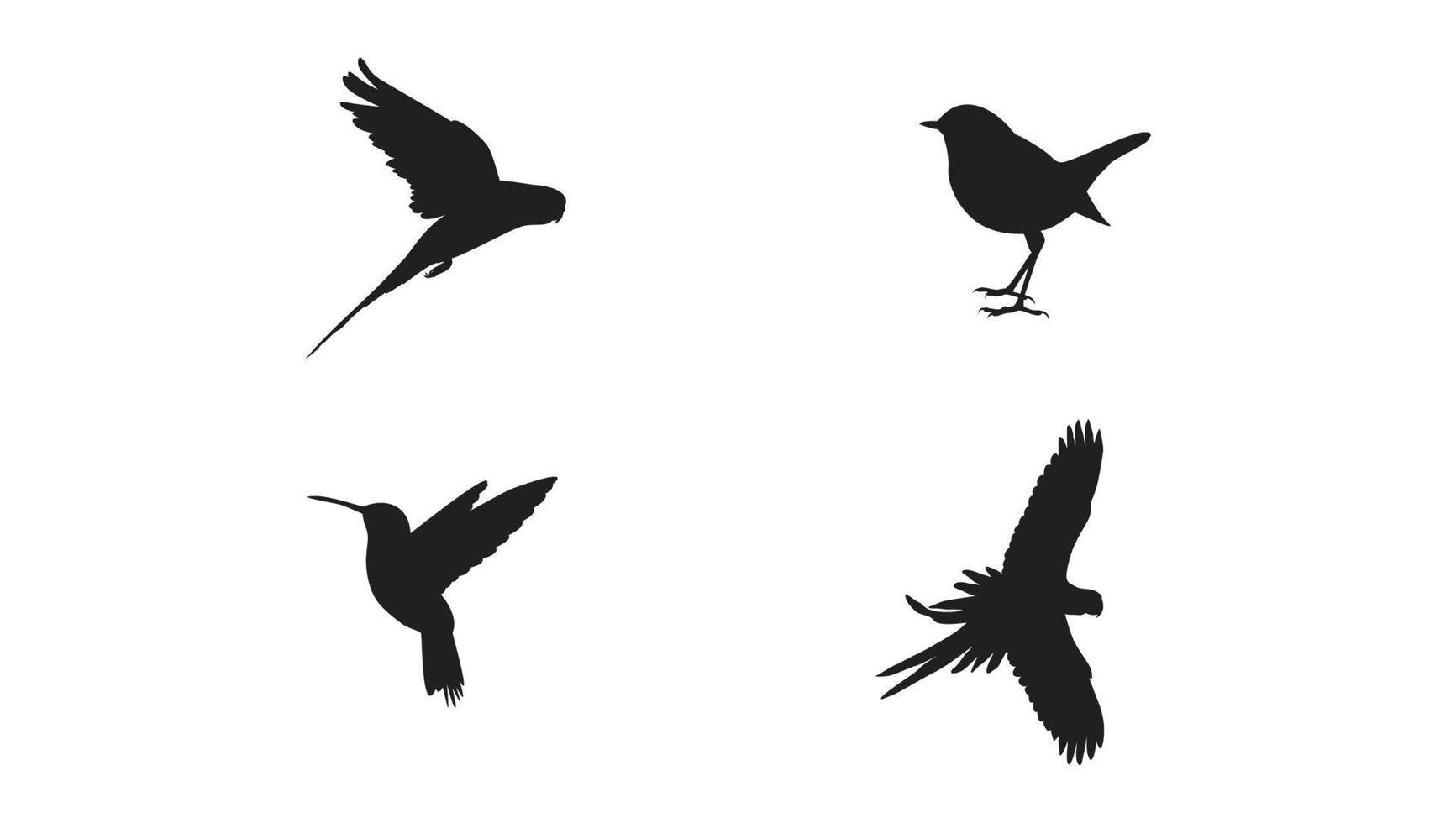 flygande annorlunda typ av fåglar silhuett med vingar fri vektor