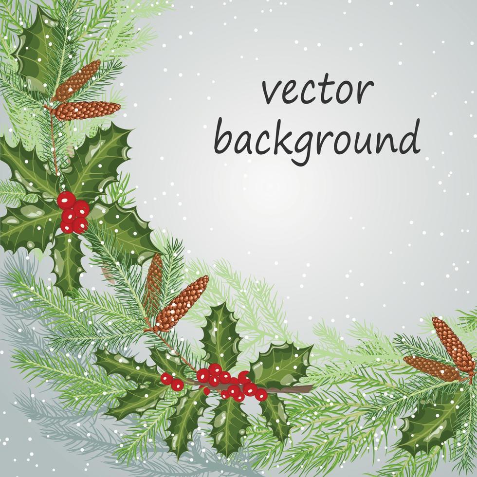 Vektorrahmen für Text. weihnachtskranz mit zweigen aus fichte und stechpalme. vektor