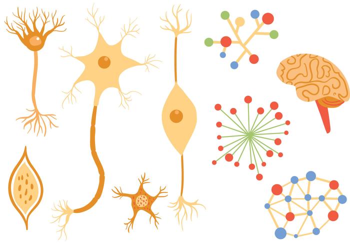 Kostenlose Neuron-Vektoren vektor