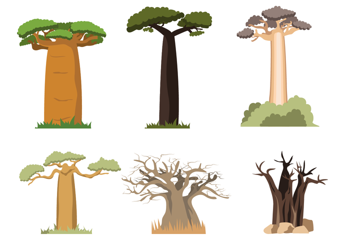 Gratis Baobab Vector