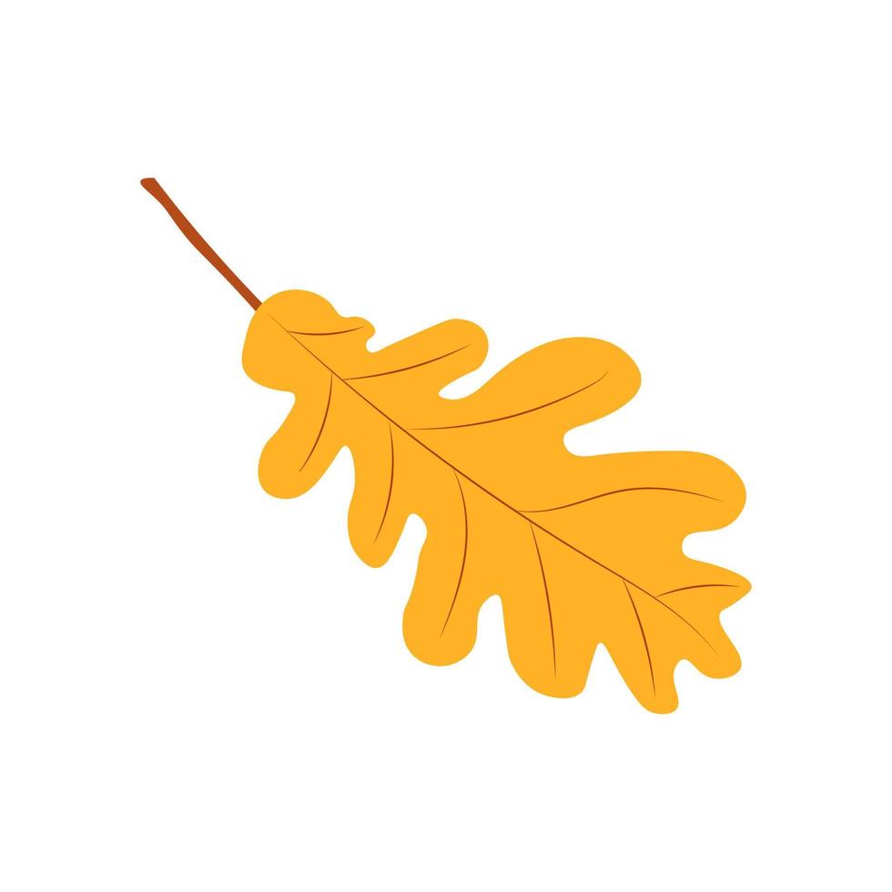 höst löv vektor illustration. höst löv. topp se av falla träd blad. platt vektor