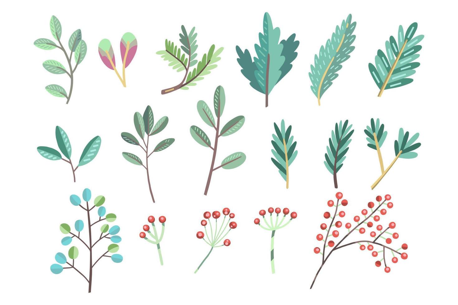 uppsättning av nordlig växter, löv, bär, grenar vektor