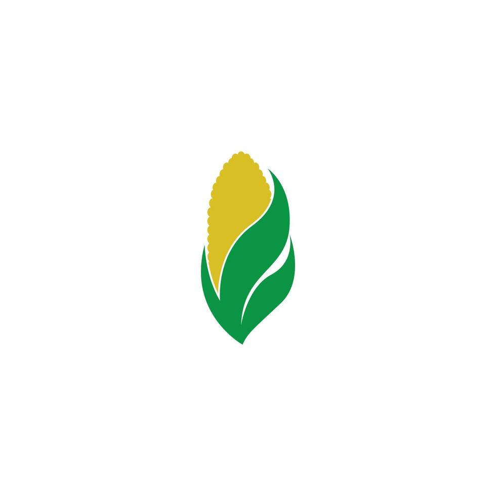 Zuckermais-Symbol-Logo-Design vektor