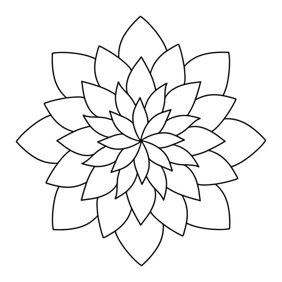 florale, handgezeichnete Aster-Mandala-Blumen im Doodle-Stil isoliert auf weißem Hintergrund. malseite für erwachsene und kinder, dekorieren kinderspielzimmer oder grußkarte. Chrysantheme, Lotus. vektor