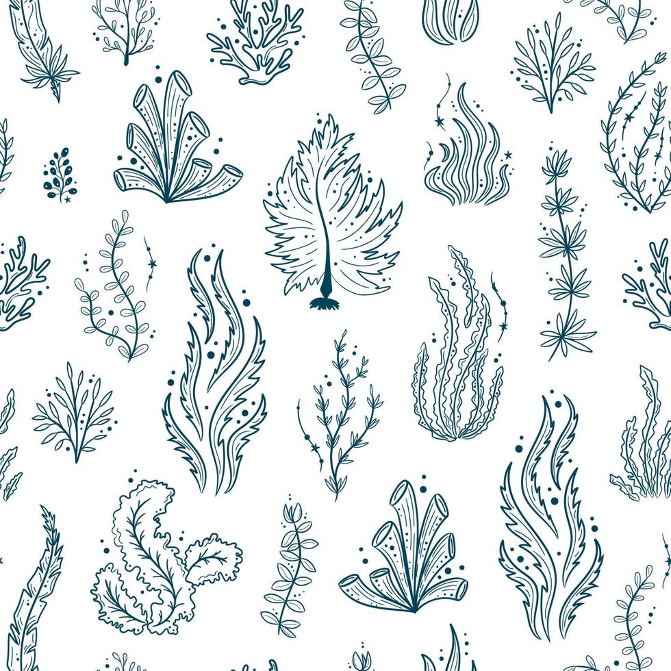sömlös mönster med snäckskal, tång och koraller. marin liv bakgrund. för utskrift, tyg, textil, tillverkning, bakgrundsbilder. under de hav vektor