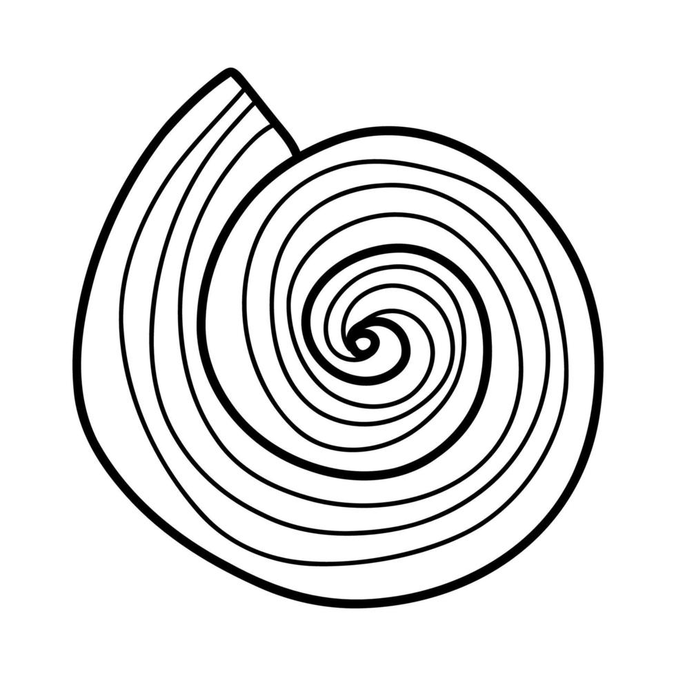 linje konst skiss snäckskal. vektor illustration isolerat från bakgrund. dekoration symbol av hälsa kalcium. annorlunda former av skal. hav hav ikon. sand och strand design.