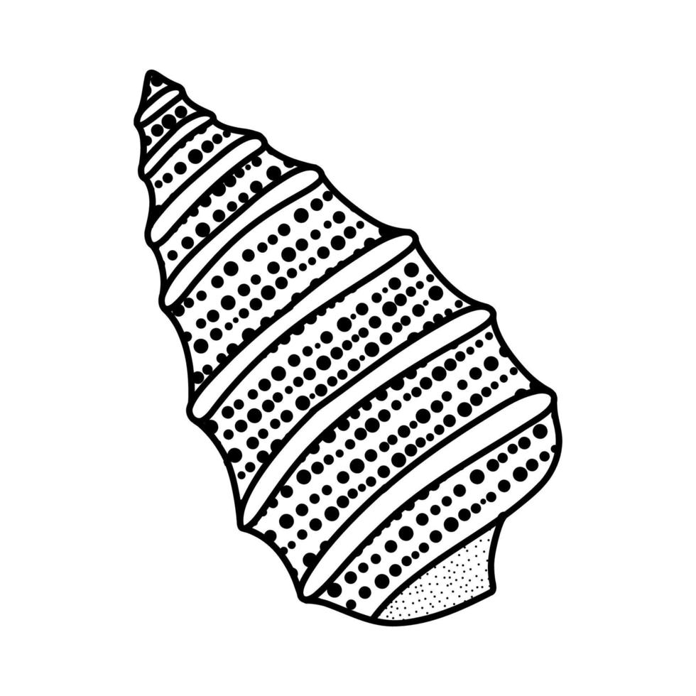 Strichzeichnungen Skizze Muscheln. Vektor-Illustration vom Hintergrund isoliert. Dekorationssymbol für Gesundheit Kalzium. verschiedene Schalenformen. Meer-Ozean-Symbol. Sand- und Stranddesign. vektor