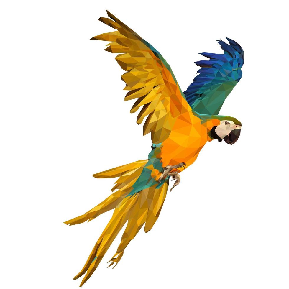 färgrik papegoja vektor illustration låg poly för din design