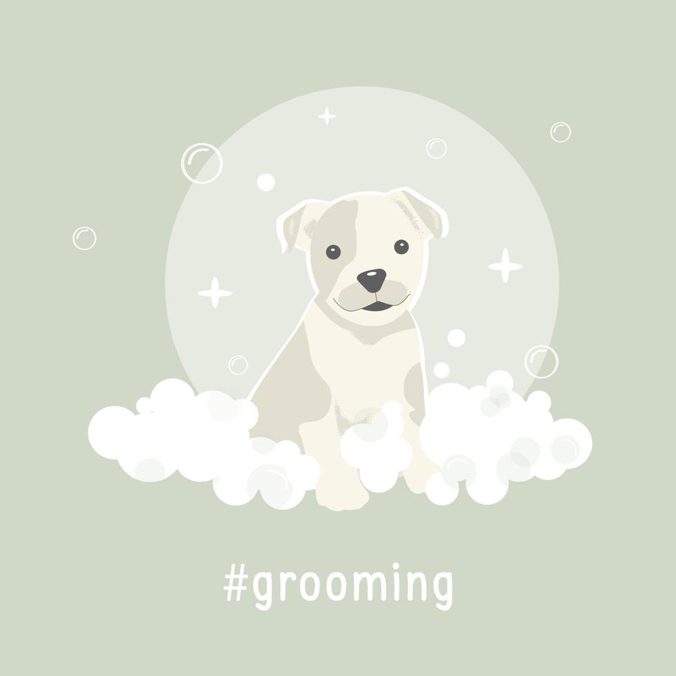 sällskapsdjur grooming vektor illustration med söt hund