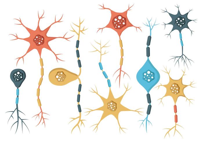 Gratis Neuron Vector