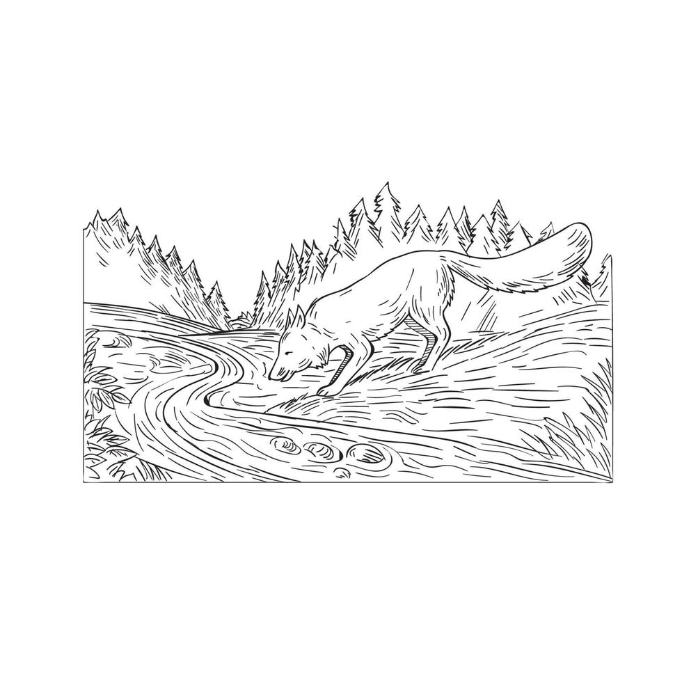 Fuchs trinkt Flusswald Schwarz-Weiß-Zeichnung vektor