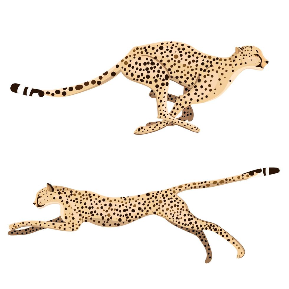 uppsättning av två löpning geparder isolerat på en vit bakgrund. vektor grafik.