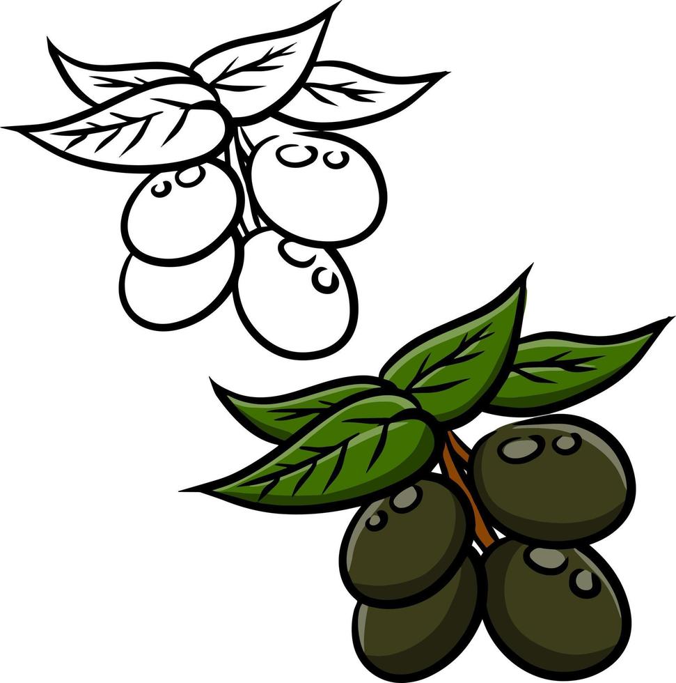 Olive. grünes gemüse auf zweig mit blättern. Element Öl und eine gesunde Ernährung. flache illustration der karikatur lokalisiert auf weiß vektor