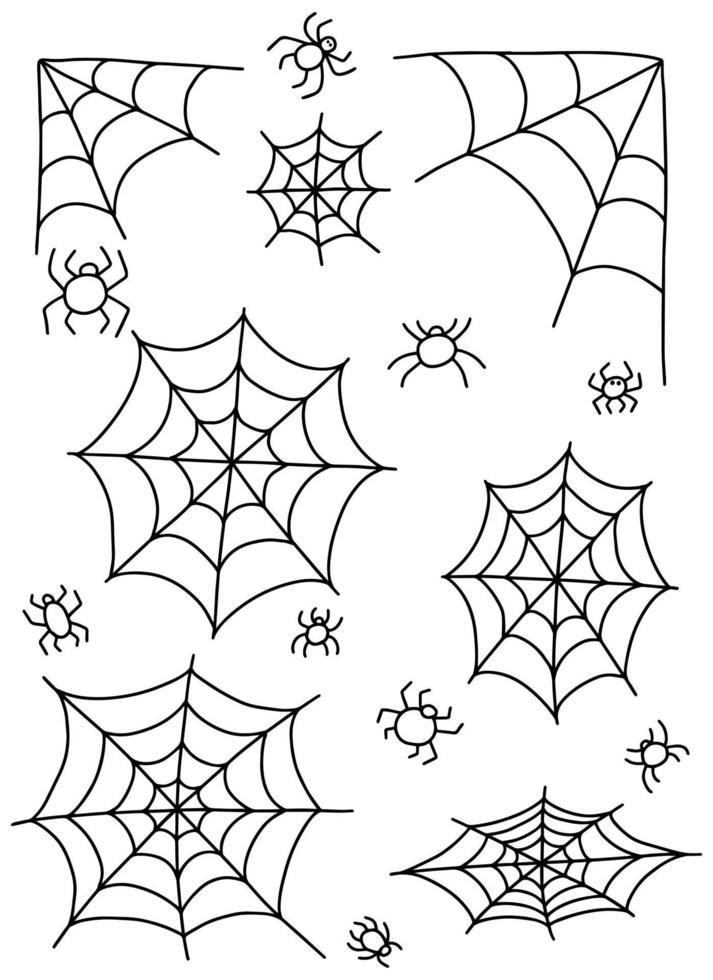 Vektor-Doodle-Spinnennetz und Spinnen-Set. hand gezeichnete gekritzelspinnennetzillustration vektor