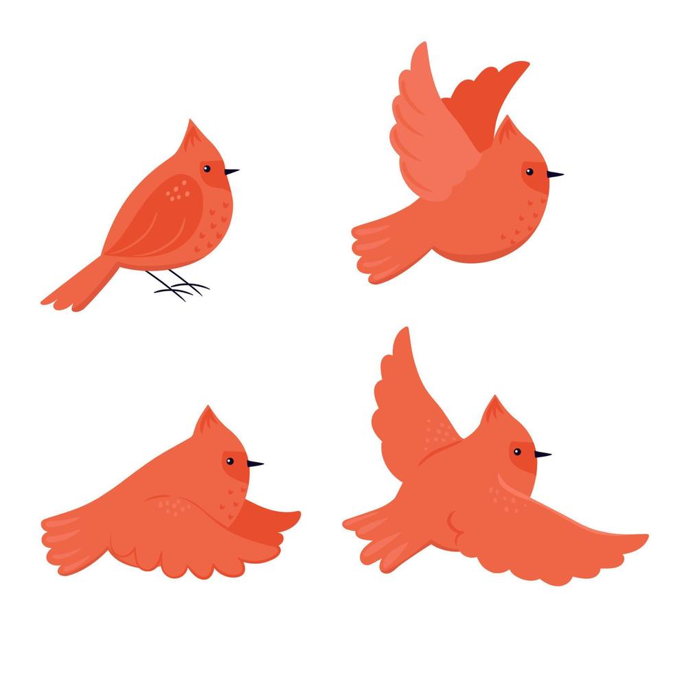 Reihe von niedlichen Cartoon-Vögeln roter Kardinal isoliert auf weißem Hintergrund. Vektorgrafiken. vektor