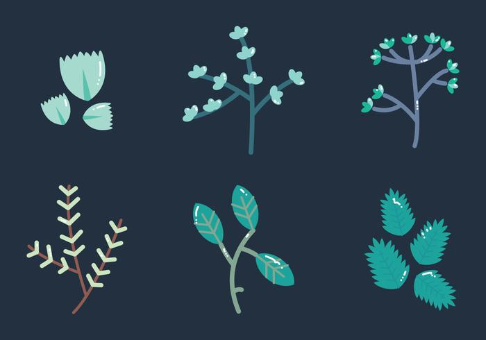 Free Thyme Vector Grafik 2