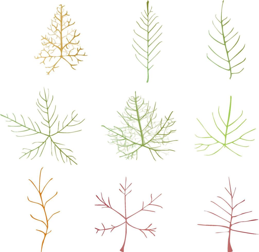botanischer Illustrationssatz des Blattvektorgekritzels. Herbstblätter. bunte Vektorillustration lokalisiert auf weißem Hintergrund. vektor