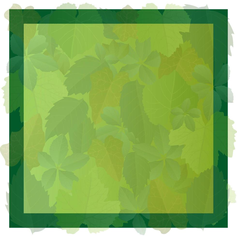 grön löv ram bakgrund design i realistisk stil. höst blad. färgrik vektor illustration isolerat på vit bakgrund.