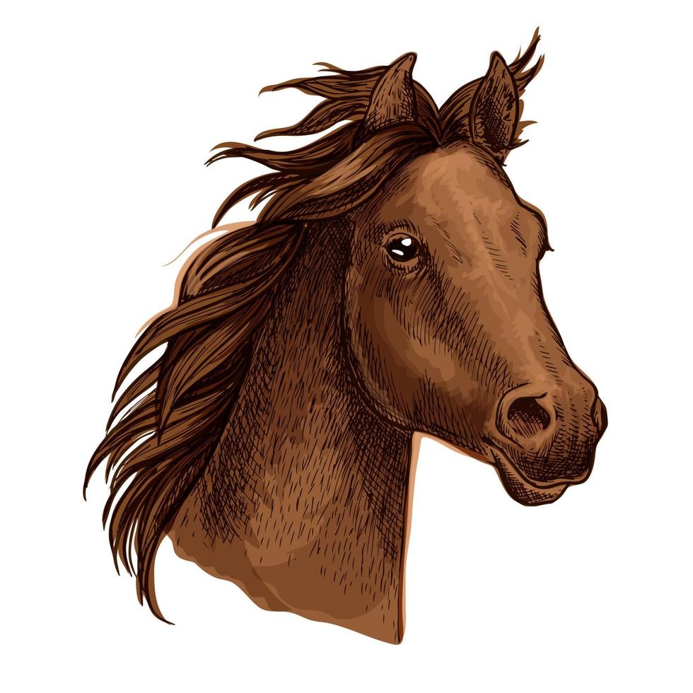 brun häst porträtt med vinka manen vektor