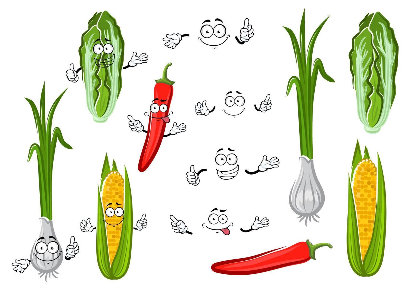 Chilischote, Mais, Zwiebel und Kohl vektor