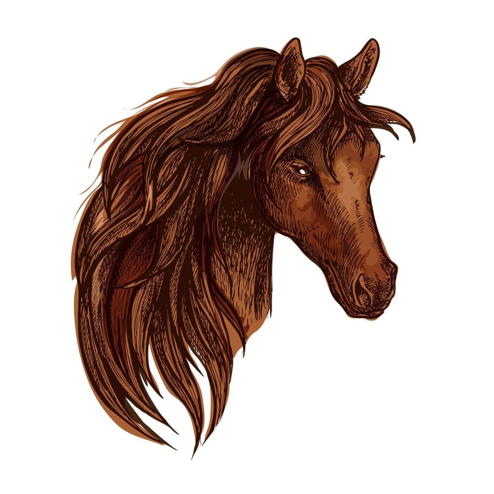 brun häst porträtt med vågig manen vektor