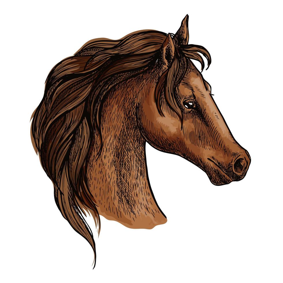 brwon häst huvud profil porträtt vektor