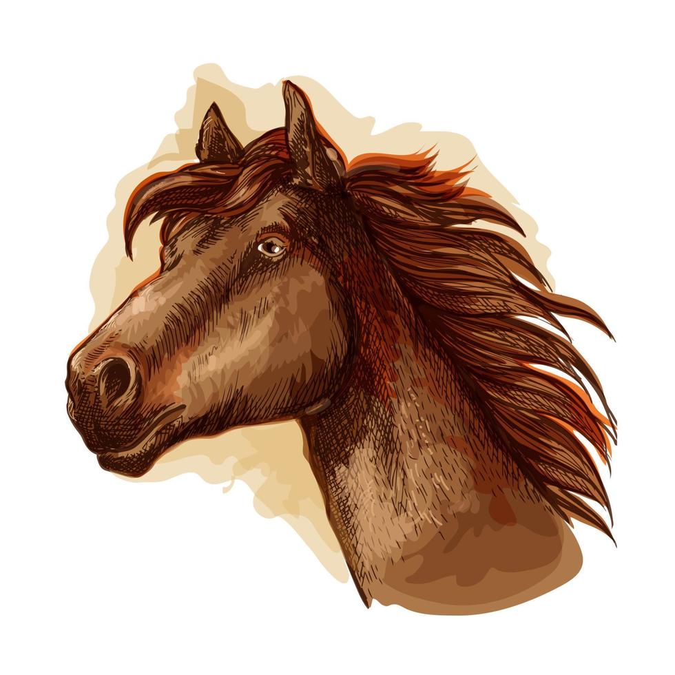 brun kapplöpningshäst för häst tävlings design vektor