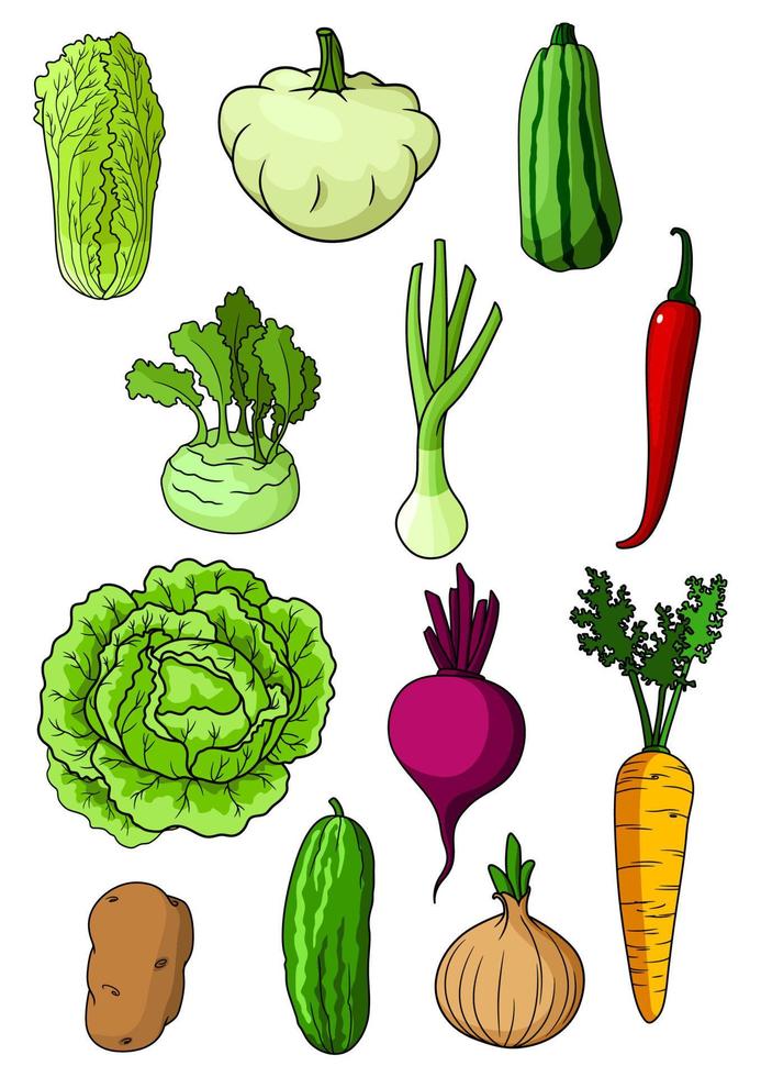 färsk isolerat organisk bruka grönsaker vektor