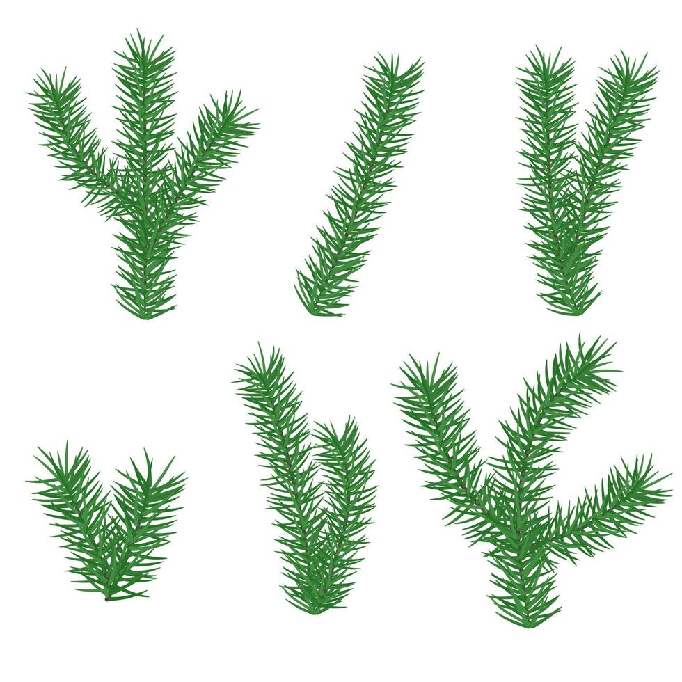 jul gren av tall element för webb design. natur abstrakt vektor. illustration. isolerat på vit bakgrund objekt. vektor