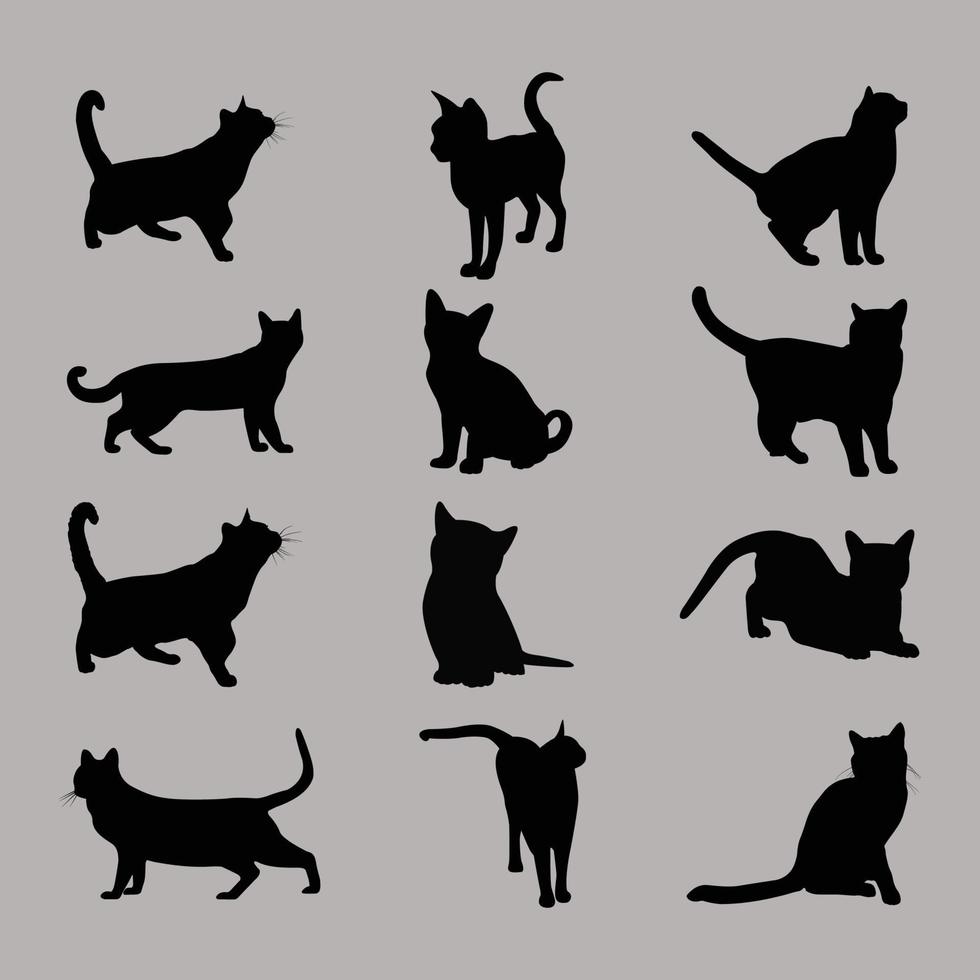 Vektorkatzen eingestellt. Tierhaustier, Wildkatze und Kätzchen, Jäger und Raubtier, schwarze Silhouette vektor