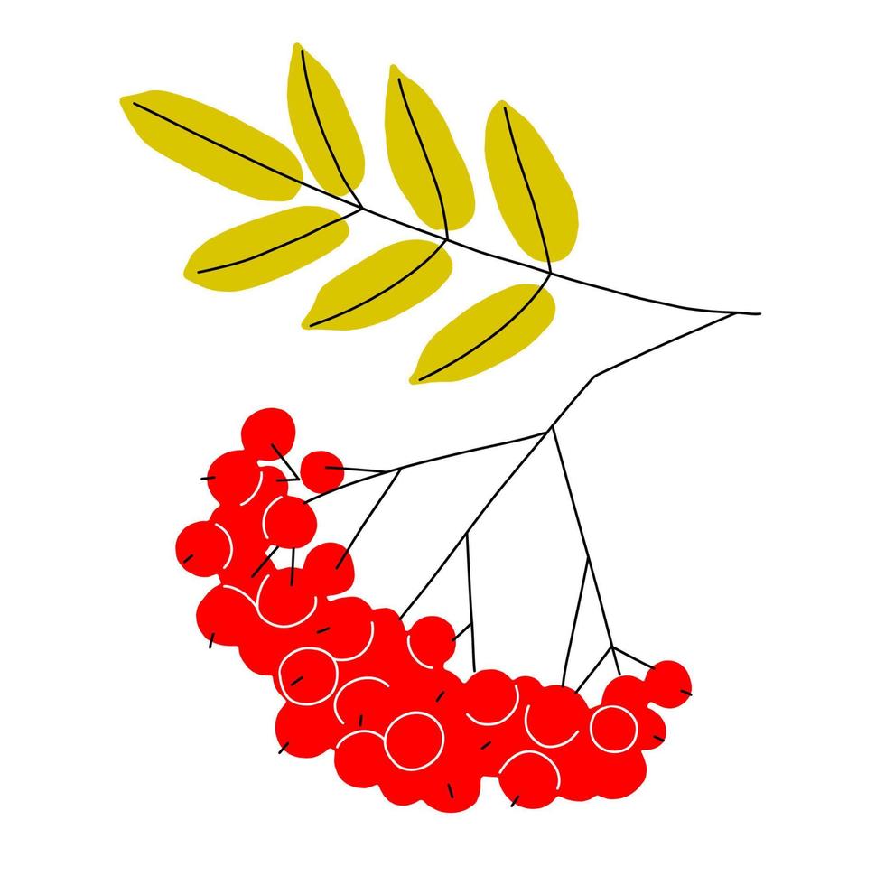 eine helle Herbstillustration von reifen Vogelbeeren auf Zweigen mit Blättern, die bis zum Herbst vergilbt sind. Vektor-ClipArt im flachen Stil. Herbstsymbol ist eine Vektorillustration, die auf weißem Hintergrund lokalisiert wird. vektor