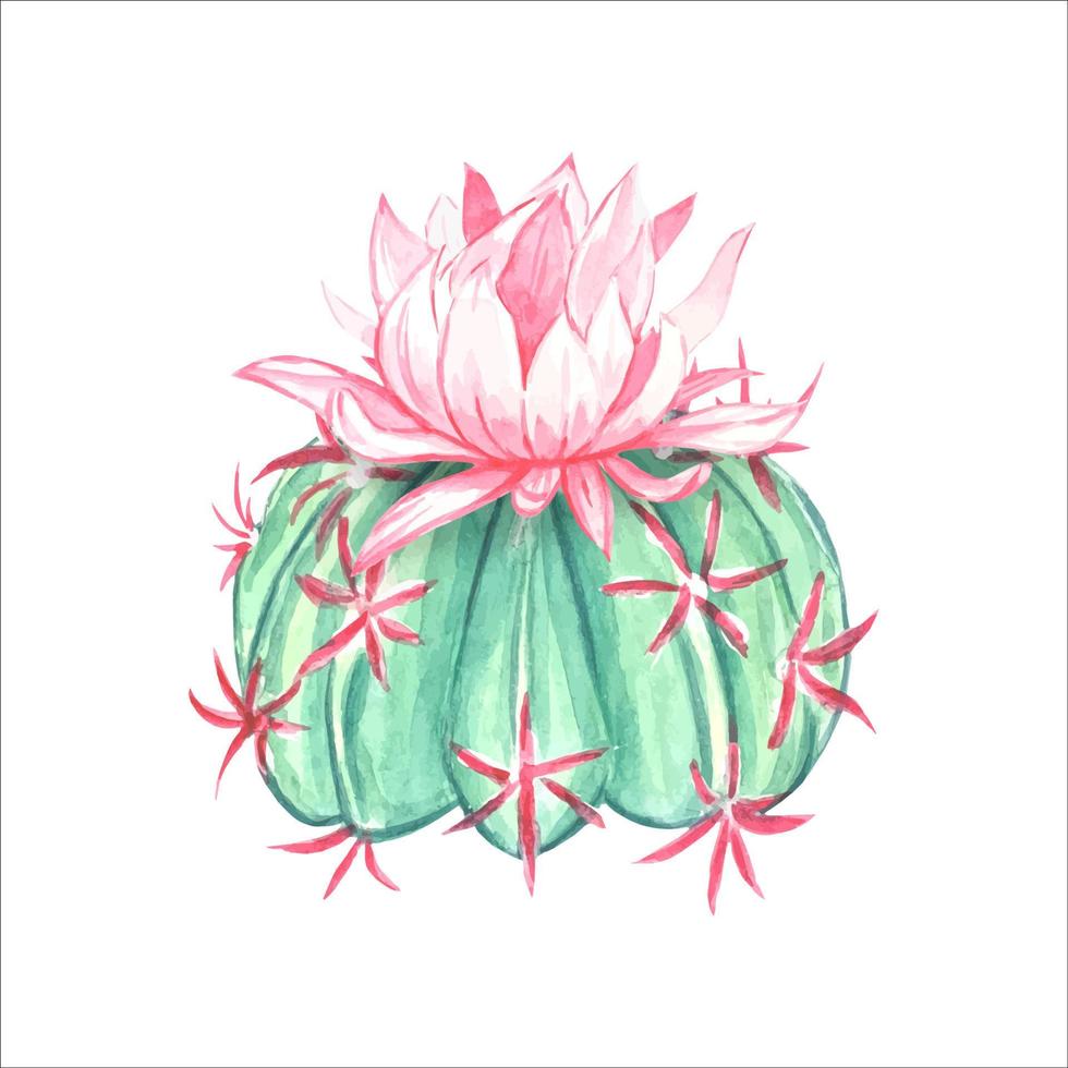 Aquarell blühender Kaktus, isoliert vektor