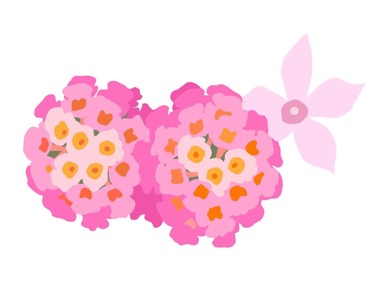 romantisk söt rosa blommor teckning vektor. vektor