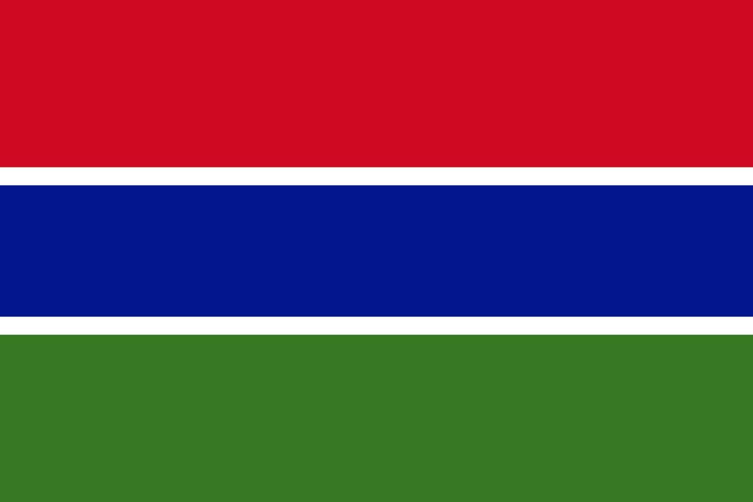 gambia vektor flagga. aterrikan Land nationell symbol