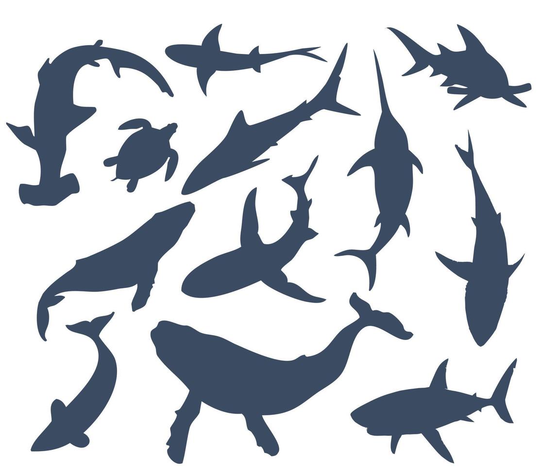 Reihe von verschiedenen Fischen. eine große Gruppe von Unterwasserbewohnern vektor