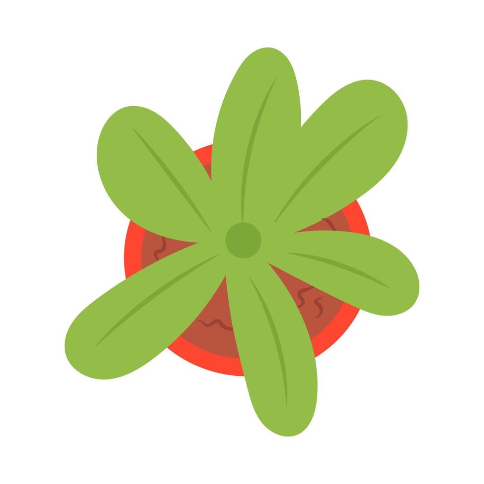 Blumentopf-Draufsicht-Symbol isoliert auf weißem Hintergrund-Vektor-Illustration. grüne botanische pflanze und zimmerpflanze für den innenbereich. tropische grüne pflanze mit laub. Exotisches Objekt für ein Gewächshaus vektor