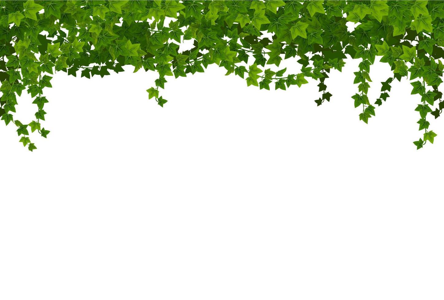 grön murgröna lianas med löv vektor gräns linje