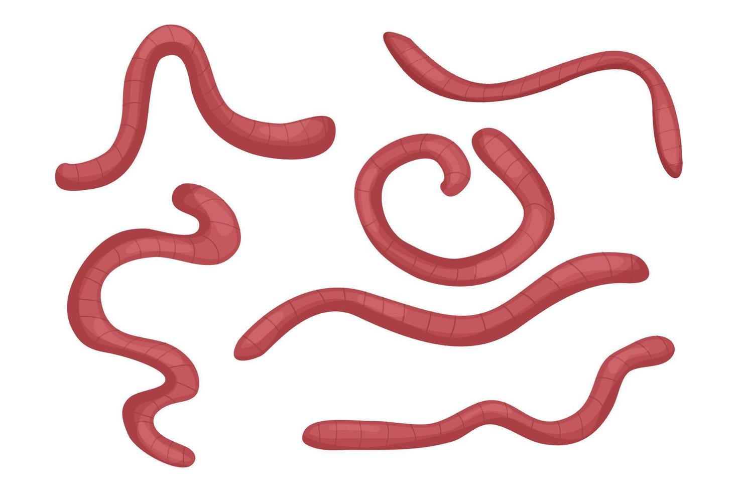 Regenwürmer-Sammlung im Cartoon-Stil isoliert auf weißem Hintergrund. natur, wild lebende tiere, angeln, kompostkonzept vektorillustration. Vektor-Illustration vektor