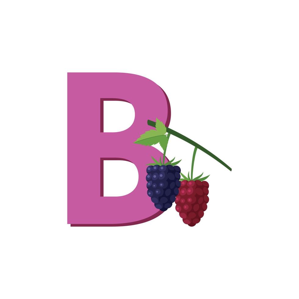 Buchstabe b Alphabet Früchte Boysenberry, Clipart-Vektor, Illustration isoliert auf weißem Hintergrund vektor