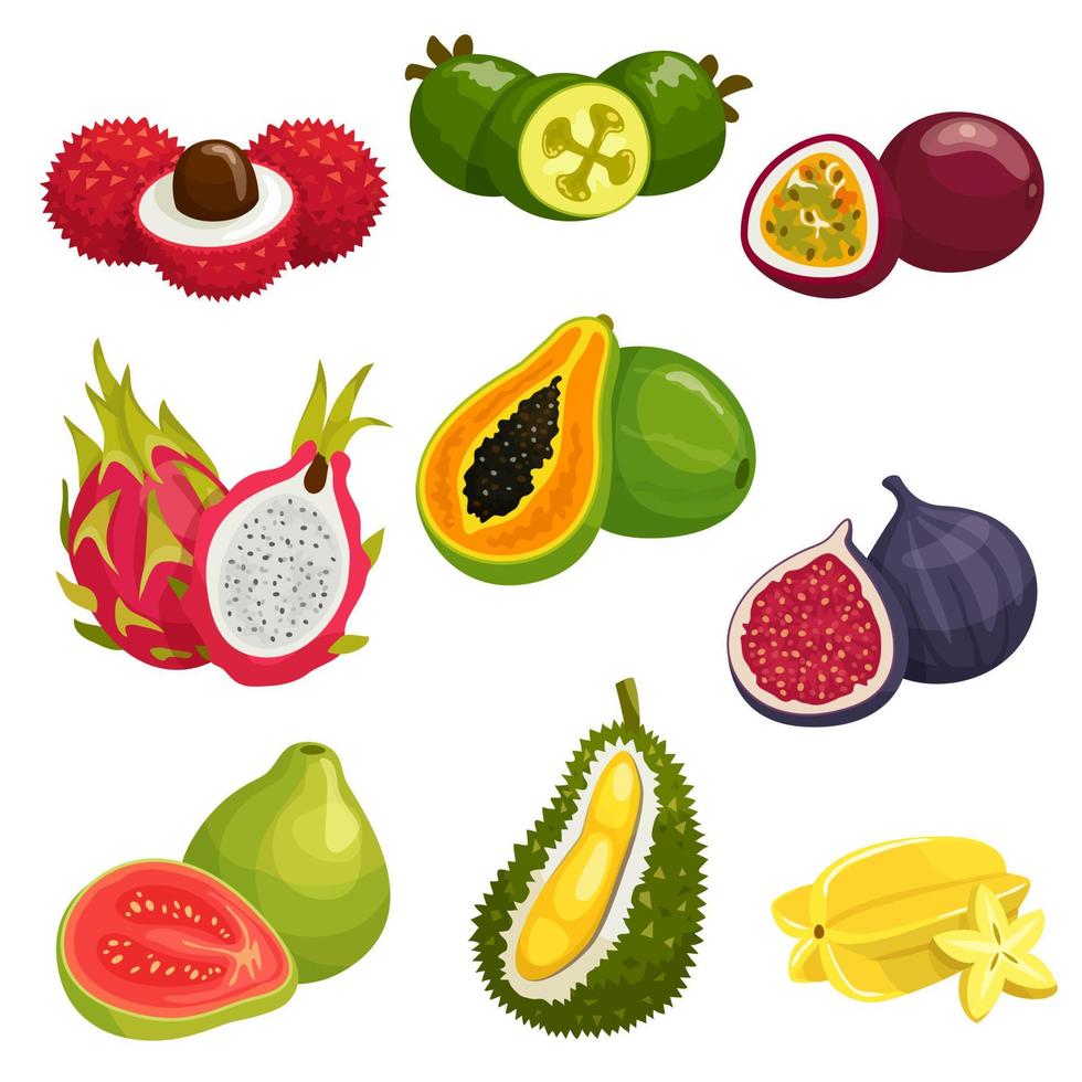 tropische und exotische früchte isolierte symbole vektor