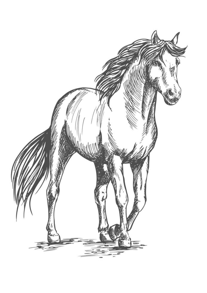 Weißes Pferd, das mit erhobenem Huf steht vektor