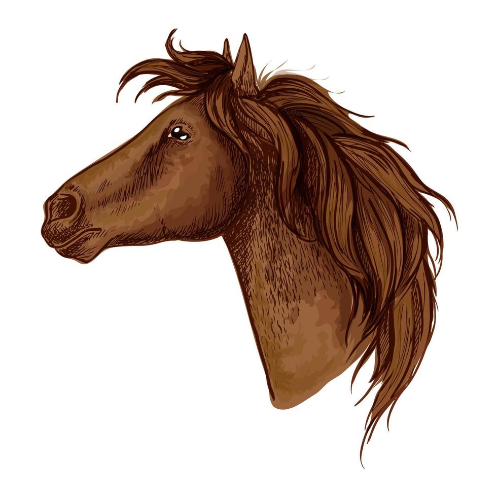 brun graciös kunglig häst porträtt vektor