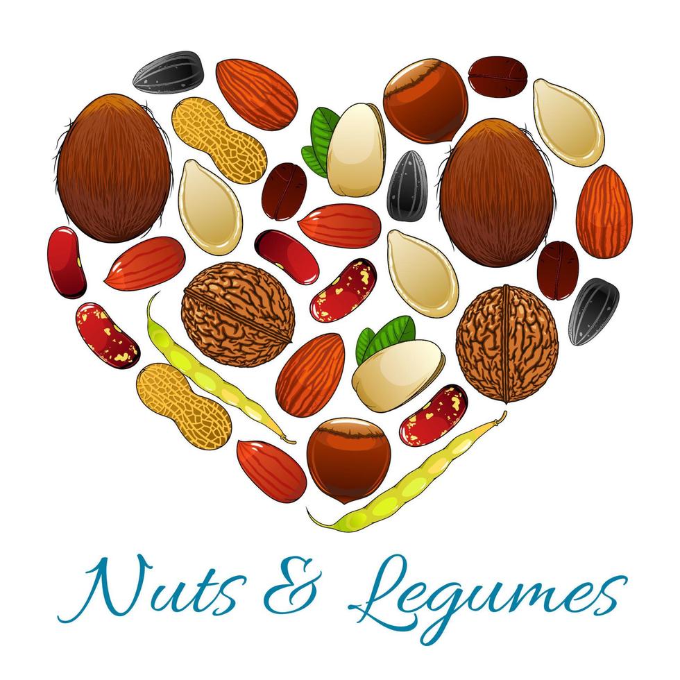 Herz aus Nüssen, Bohnen, Hülsenfrüchten und Samen vektor