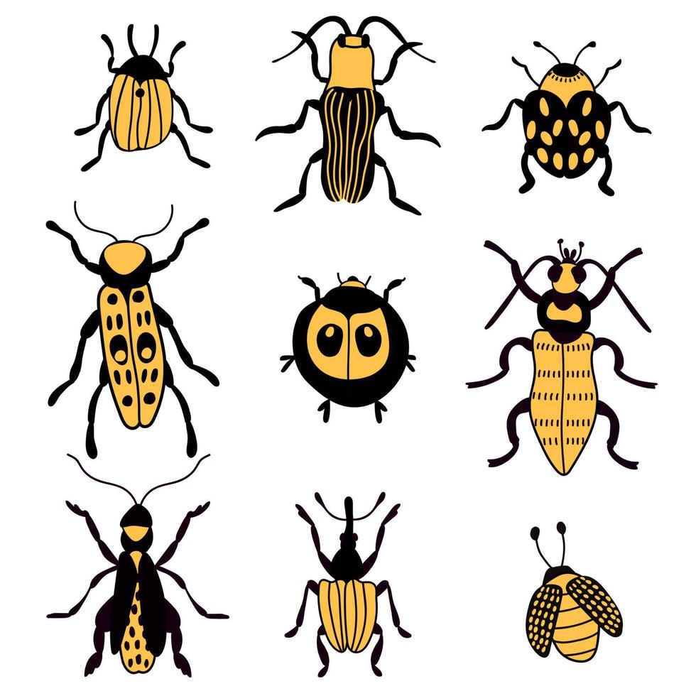 Käfer setzen. Insekten. weißer hintergrund, isolieren. Vektor-Illustration. vektor