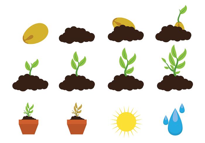 Växt upp Plant Icon Vector