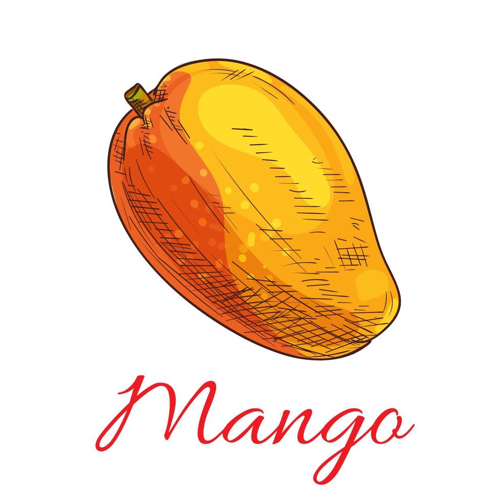 Mango Frucht Vektor Farbe Skizzensymbol