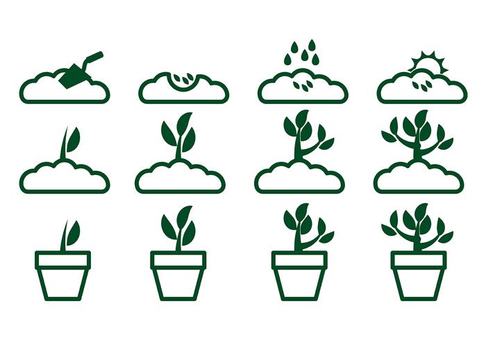 Växa upp Plant Icon Vector 2