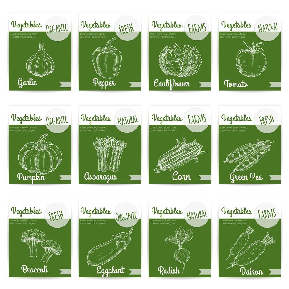 färsk organisk naturlig bruka grönsaker krita skiss vektor