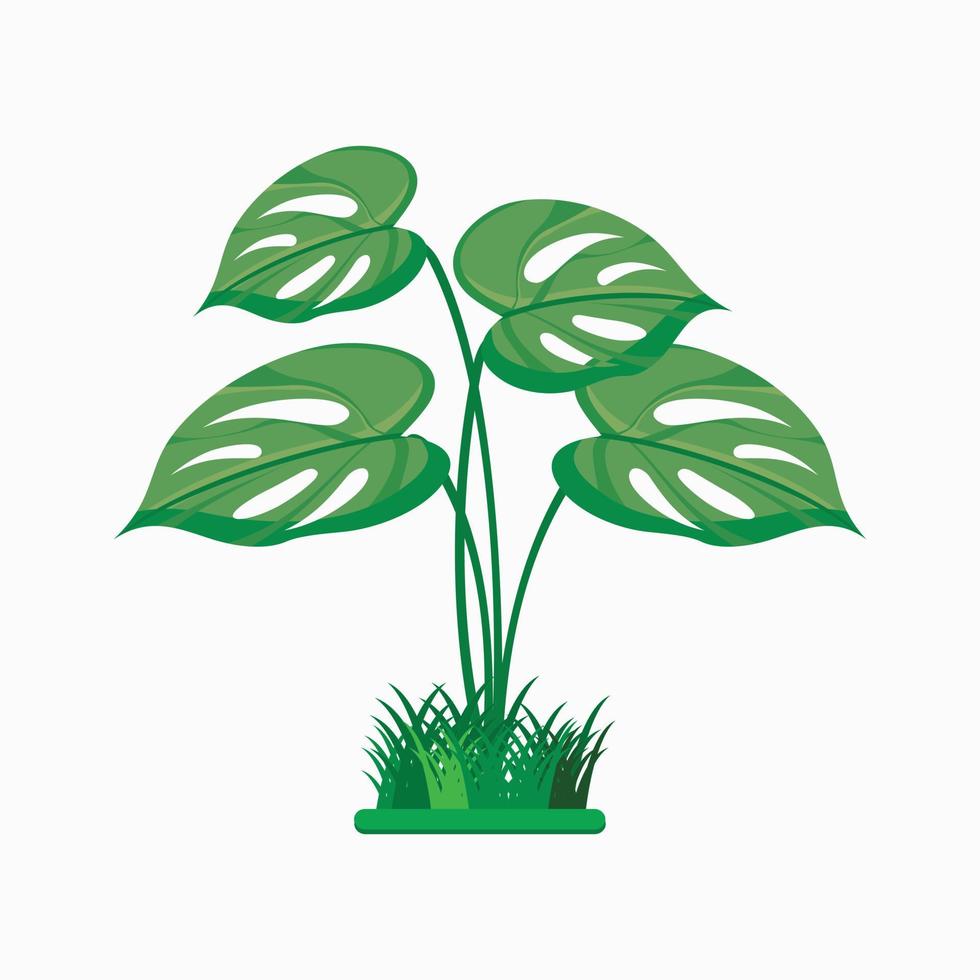 Monstera-Blatt-Vektordesign und -illustration vektor